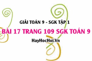 Giải bài 17 trang 109 SGK Toán 9 tập 1